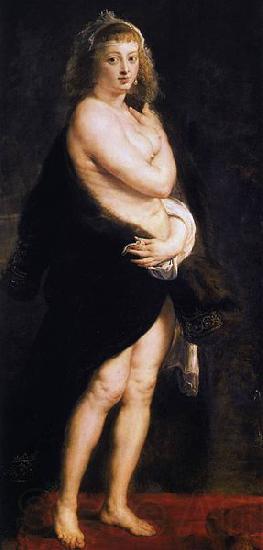 Peter Paul Rubens The Fur France oil painting art